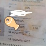 1779675499334